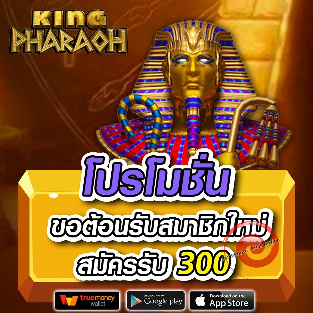 3dbet เข้าสู่ระบบ